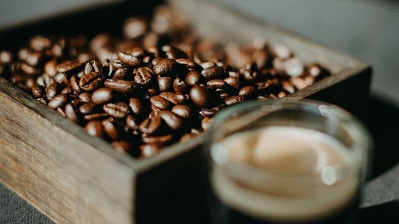 kavové zrná. káva kofein